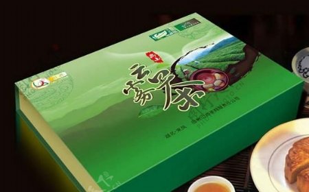 云雾茶包装礼盒设计PSD素材