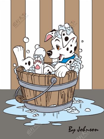 斑点狗洗澡图片