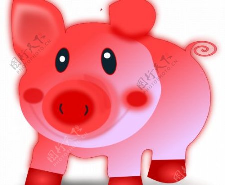红色的小猪矢量插画