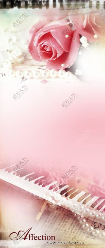 婚纱摄影玫瑰背景图片