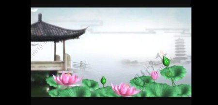 中国风背景视频素材