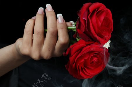玫瑰烟雾美容美甲图片