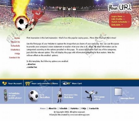 足球赛场网站模板