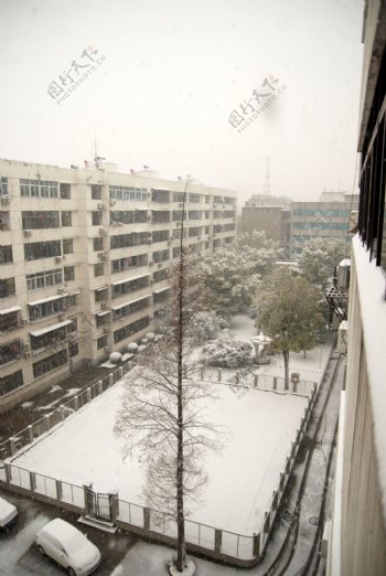 下雪雪景冬天图片