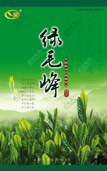 茶叶生态包装绿毛峰图片