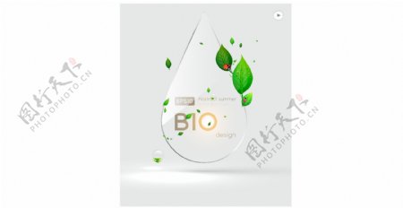 动感绿叶水珠瓢虫水滴背景图片