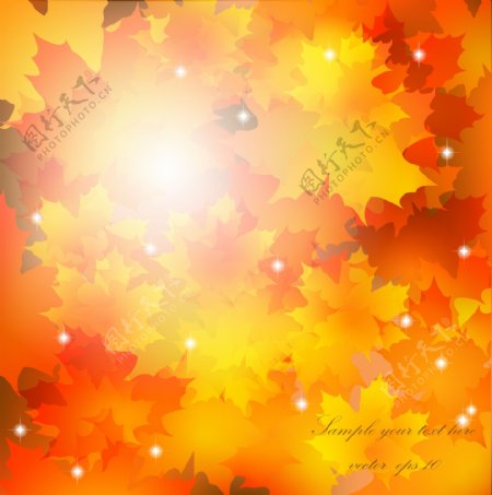 秋天树叶矢量图片免费下载