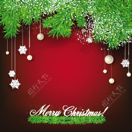 红色松枝圣诞背景图片
