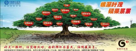 中国移动大树篇图片