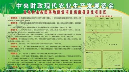 茶园农业生产基地图片
