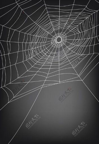 矢量图形的蜘蛛网设计背景03