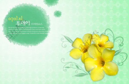 花朵装饰装修浪漫柔情梦幻韩国花纹图库2psd分层素材源文件