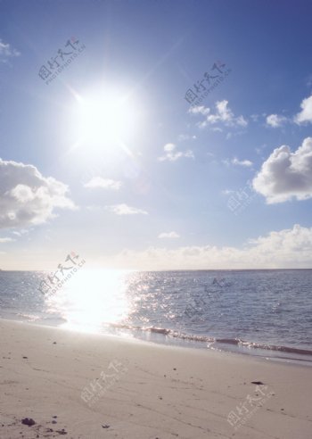 阳光下的海滩图片