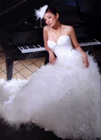 明星婚纱钢琴图片