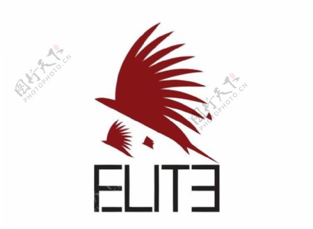 鸟儿logo图片