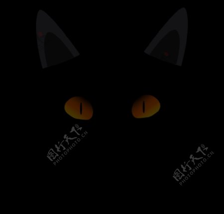 黑猫脸