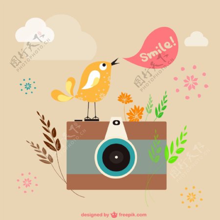 卡通相机与小鸟插画