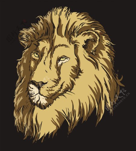 向量的T恤设计与狮子