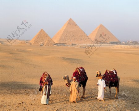 埃及风光自然景观