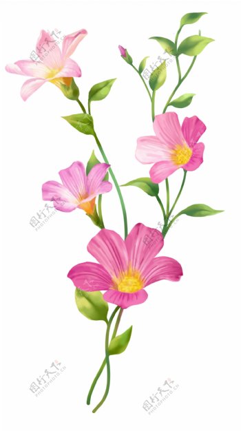 粉色小花朵23