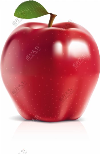 红苹果青苹果