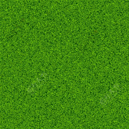 绿草的设计元素矢量图03