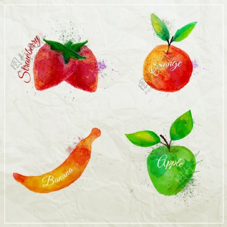 4款水彩水果设计矢量图