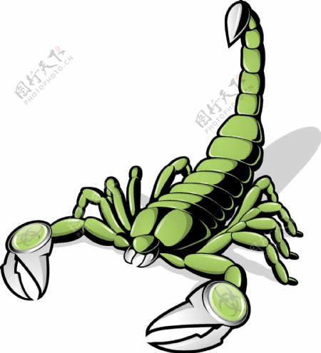 印花矢量图动物蝎子抽象动物色彩免费素材