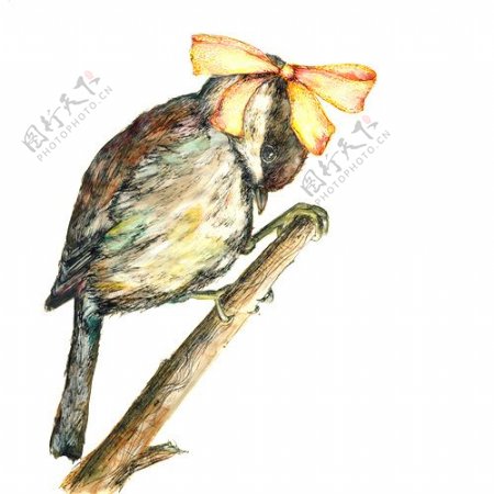 位图插画色彩抽象动物鸟类免费素材