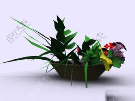 植物盆栽室内装饰素材免费下载盆栽3d模型素材17