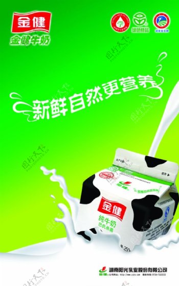 金健纯牛奶宣传海报psd素材