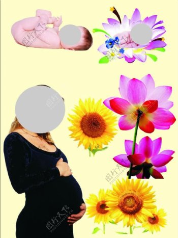 孕妇婴儿花图片