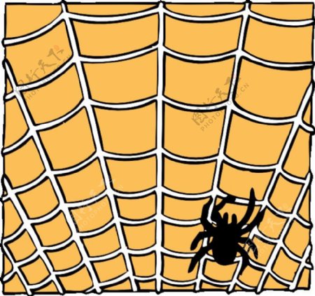 蜘蛛网上的蜘蛛夹艺术
