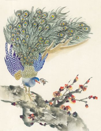 传世鸟类水彩画