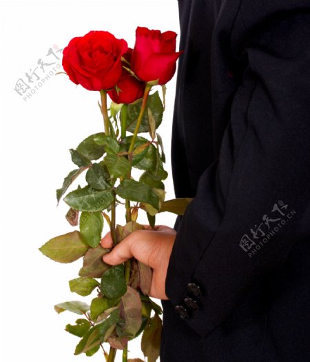 情人节送玫瑰
