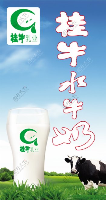 桂牛水牛奶图片
