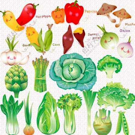 可爱的蔬菜