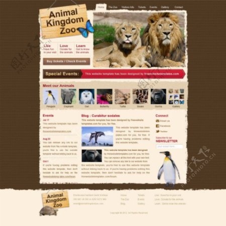 欧美动物主题网站模板PSD素