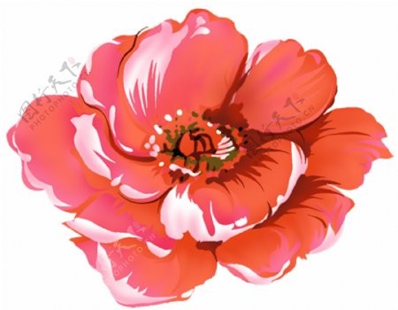 位图PSD写意花卉花朵免费素材