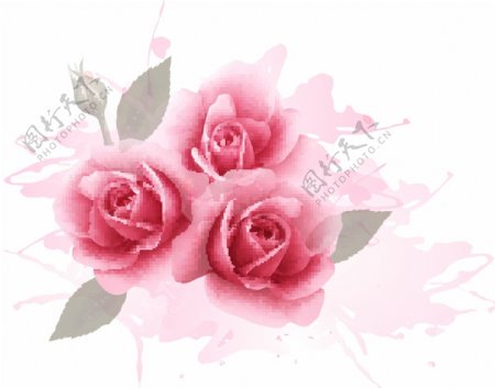 粉色玫瑰水彩背景矢量素材