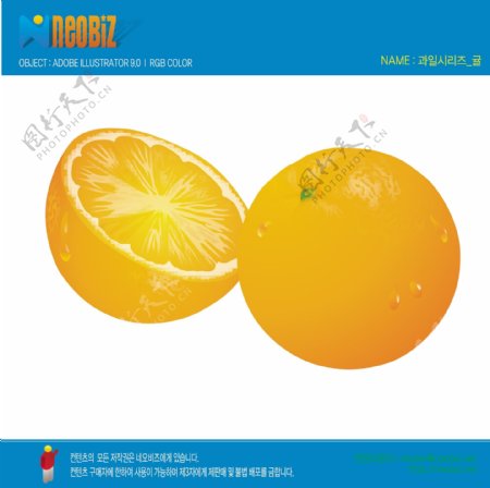 橙子矢量图下载