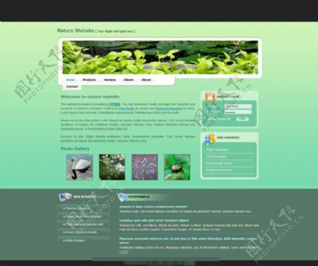 和谐自然的企业网站模板