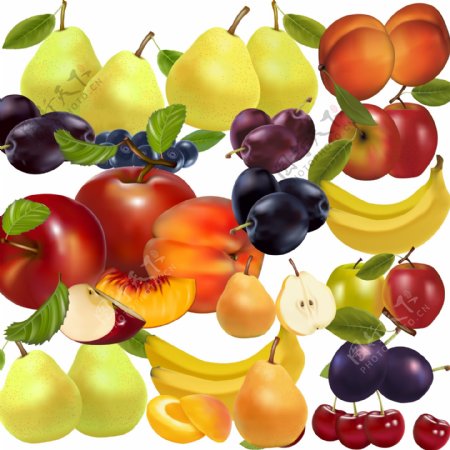 水果集图片