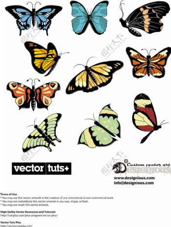 多彩蝴蝶合集矢量图