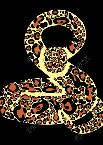 豹纹蛇