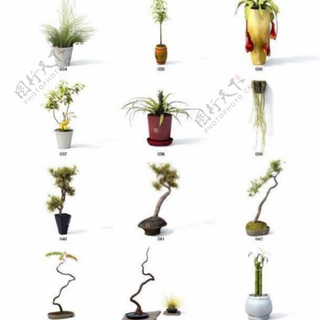 vray高精度植物模型archmodel系列4图片