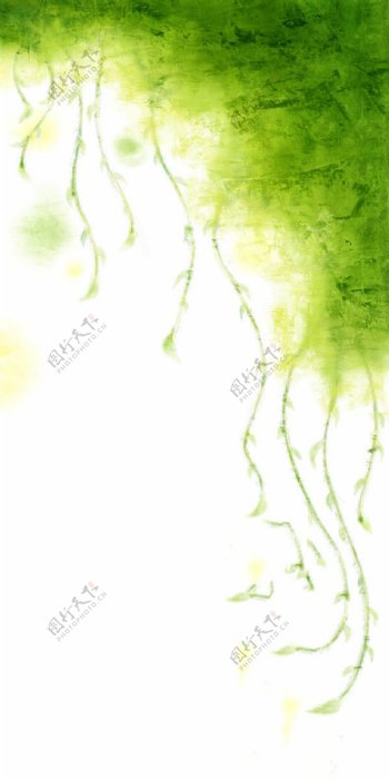 藤蔓植物背景图