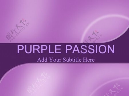 紫色弧线背景商务PPT模板