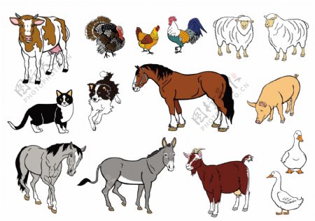 卡通农场动物设计矢量素材