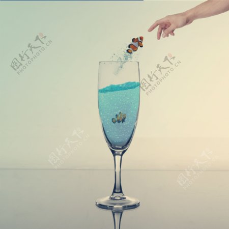 鱼和杯子合成图片